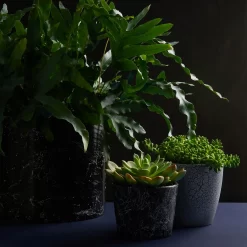 Craig & Rose Artisan Crackle Effect Spray Paint - Black - 400ml -Paint And Decorating 12817532 1464833199991187