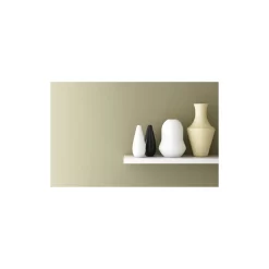 Craig & Rose 1829 Eggshell Paint Olive Laque - 750ml -Paint And Decorating 12820281 1344833221677212