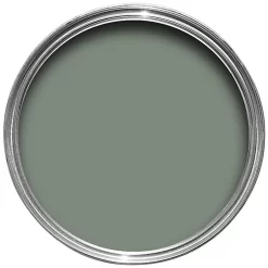 Farrow & Ball Estate Matt Emulsion Paint Card Room Green - Tester 100ml -Paint And Decorating 12827628 3844951389058422