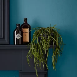 Crown Easyclean Bathroom Paint Teal - 0.04L -Paint And Decorating 12886566 2014853989681893