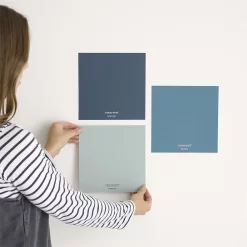 Craig & Rose 1829 Matt Paint Colour Patch Pipe Clay - Tester -Paint And Decorating 12889908 1004843836336699