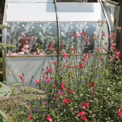 Thorndown Moorland Green Peelable Glass Paint 750ml -Paint And Decorating 13301864 7544920780919635